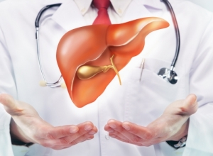 Uống thuốc bổ gan có hại thận không?